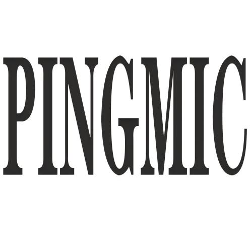 PINGMIC