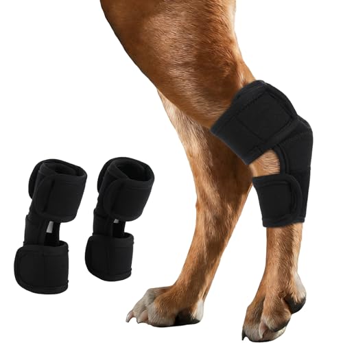 IECOii 1 Pair Dog Leg Brace, Short Leg Hock Joint Compression Wrap for Hind/Front Legs – Adjustable Hock Brace for Weak Legs, ACL/CCL Tears, Arthritis, Joint Discomfort & Post-Surgery Recove